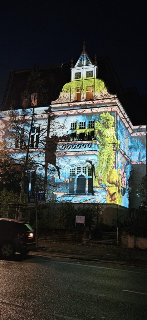 Impressionen Re-leuchtet 2025